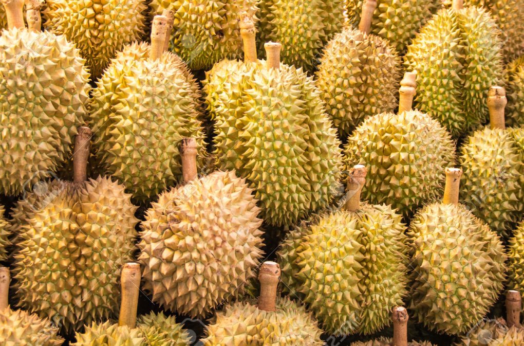 Durian Fest