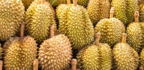 Durian Fest
